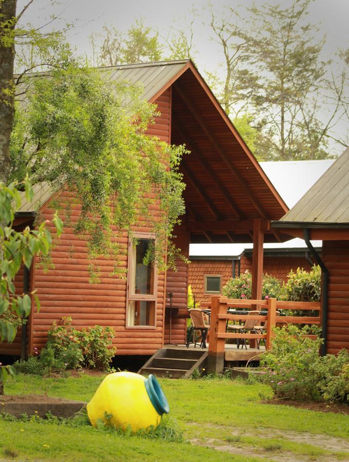 Villa Cabanas Risso à Villarrica Extérieur photo
