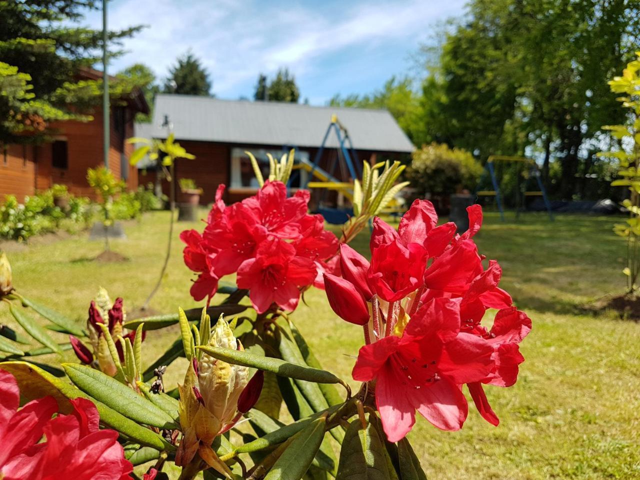 Villa Cabanas Risso à Villarrica Extérieur photo