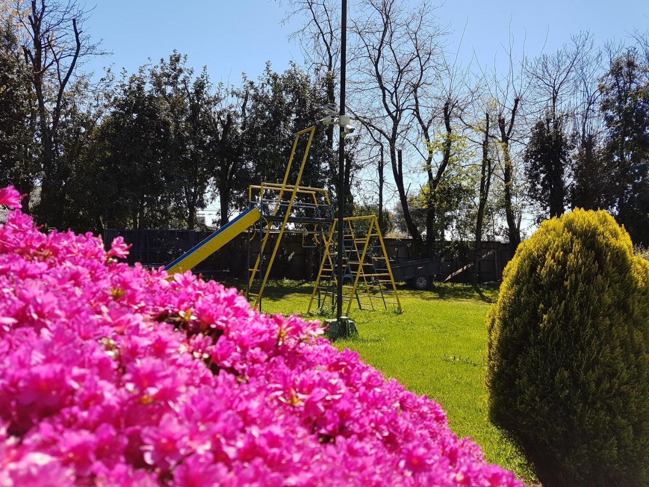 Villa Cabanas Risso à Villarrica Extérieur photo